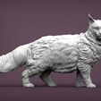 Maine-Coon5.jpg MAINE COON 3D PRINT MODEL