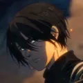 mikasabb