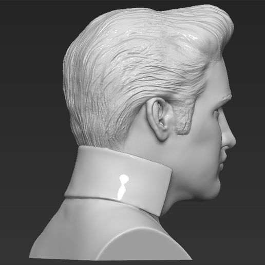7.jpg 3D file Elvis Presley bust 3D printing ready stl obj・Template to download and 3D print, PrintedReality