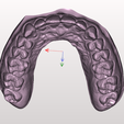 Capture-d'écran-2023-10-11-142823.png Maxillary teeth