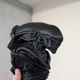 Xenomorph Bust Wall Mount