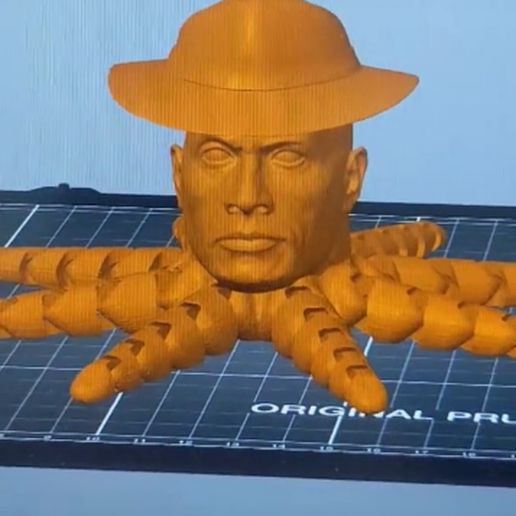 Perry The Rockpus 3D model