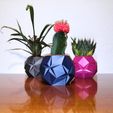 IMG_20201102_223115.jpg Succulent origami pot