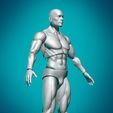 Figura_02.jpg Articulated Action Figure