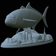 Greater-Amberjack-statue-1-31.png fish greater amberjack / Seriola dumerili statue underwater detailed texture for 3d printing