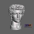 Augustus1.jpg Head Of Roman Emperor Augustus 3D Scan