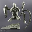 alio-ronto5.jpg Alien holding a cat (xenomorph)