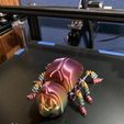 FLEXI BEETLE