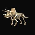 2.jpg Triceratops: complete anatomy