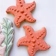 starfish-cookie-cutter.jpg 4 sizes - Starfish Beach Ocean Cookie Cutter - Sharp, clean cutting edges!