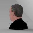 untitled.777.jpg Nigel Farage bust ready for full color 3D printing