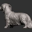dachshund-longhair12.jpg Dachshund longhair 3D print model