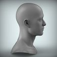 300.84.jpg 8 Male Head Sculpt 01 3D model Low-poly 3D model