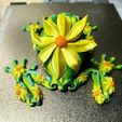 424491933_966278311520420_1002325190150226895_n~3.jpg Flexi Articulated Flower Frog No support