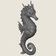 Seahorse-07.jpg Seahorse