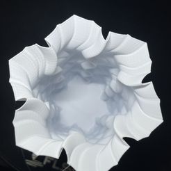 IMG_1298.jpeg Fichier STL gratuit Vase torsadé flocon de neige・Objet imprimable en 3D à télécharger, Y37105