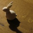 150401-214918-g16s.jpg Customizable Easter Bunny (OpenSCAD)