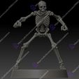 1.jpg Skeleton Bone Set.