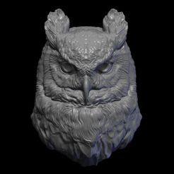 3.jpg Owl  head night