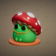 IMG_20231126_102332.png Frog with mushroom hat