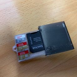 IMG_0115.HEIC.JPEG Micro SD Card Wallet