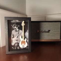 Bass guitar | The Joe Dart Jr Bass | VULFPECK