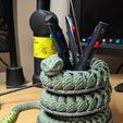 Serpiente y cascabel