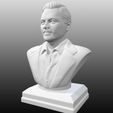 4.jpg Fichier 3D gratuit Bust Leonardo DiCaprio・Design imprimable en 3D à télécharger