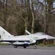 image6.jpeg 3D printed Eurofighter Typhoon Jet with equipment from MotionRC