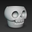 WhatsApp-Image-2025-10-17-at-11.13.43.jpeg skull pot