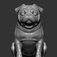 pug-for-3d-printing-3d-model-5b970d2924.jpg Pug for 3D printing