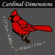 Cardinal-Size.jpg Cardinal Sun Catcher Spring Garden & Window Hang Up Decor