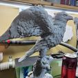 20250615_113552.jpg Falcon model