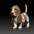 HushPuppy02.jpg Basset Hound - Hush Puppy - Dog Breed - 3d print model