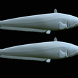 Catfish-Europe-35.png FISH WELS CATFISH / SILURUS GLANIS solo model detailed texture for 3d printing