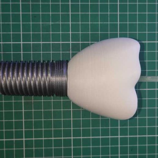 828cf660-7803-47d1-81a1-f15860dcfa10.jpeg Modelo de implante dental - Juego completo
