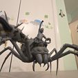 11.jpg Grounded 2- Max and Orb weaver Spider