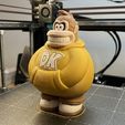 WhatsApp-Image-2026-03-26-at-13.53.30.jpeg Donkey Kong Urban: Multiparts +3MF