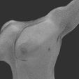 1000066356.jpg Scultura di TORSO FEMMINILE E MASCHILE