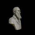 22.jpg Fyodor Dostoevsky bust sculpture 3D print model