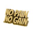 untitled.473.jpg No Pain No Gain - Motivation quotes