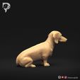 Dachshund-Miniature-Smooth-Haired-Pose-04-Dog-3D-Print-3s.jpeg Dachshund Miniature Smooth Haired Pose 04