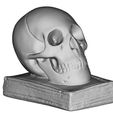 SkullOnBook1.jpg Crane sur Livre - Skull on Book