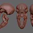 002a.jpg Werewolf Skull2