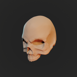 Skull.png Fichier STL gratuit Crâne・Idée pour impression 3D à télécharger, Apocalyplant