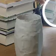 IMG_20230319_214323_789.jpg Vase Crumpled Paper