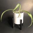 IMG_E4459-1.jpg Reversible Stand and Planter