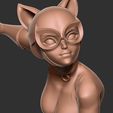 Close1.jpg Catwoman stylized