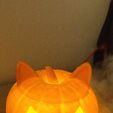 1711895240218.jpeg pumpkin cat