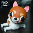 FOTO1.jpg CHIWA THE DOG CHIWAWA FLEXIBLE (UNSUPPORTED PRINTING)